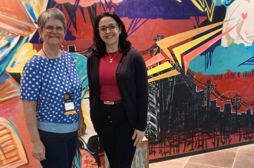 IES INVESTE EM CAPACITAÇÃO PARA PRESERVAÇÃO DO PATRIMÔNIO CULTURAL